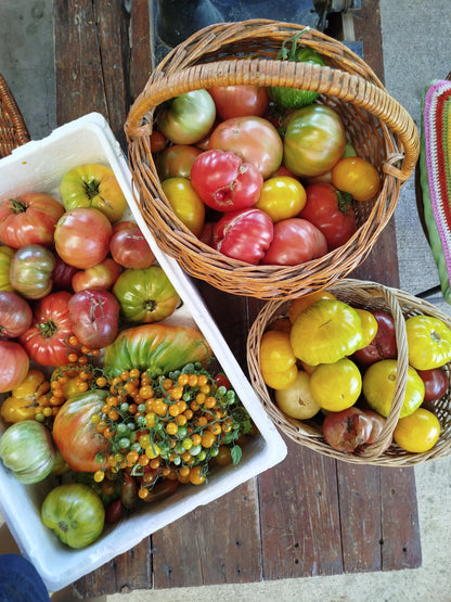 Mix de tomates - 3 kilos